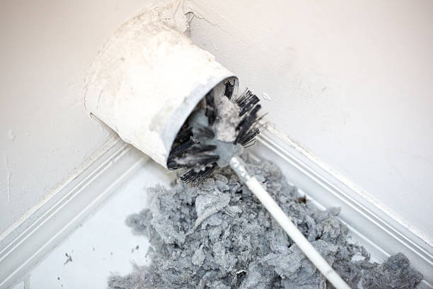 Best Emergency Air Duct Cleaning  in Elkton, MD